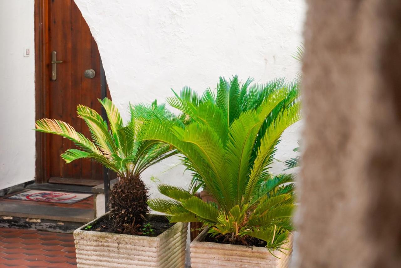 Apartament Monolocale A 50 Metri Dal Mare Celle Ligure Zewnętrze zdjęcie